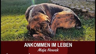 THOR  ANKOMMEN IM LEBEN  von Maja Nowak [upl. by Adli161]