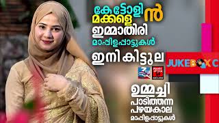 Mappila Cover Songs  Mappila Pattukal Cover songs Mappilapattukal Mappila Pattukal Malayalam [upl. by Conway703]