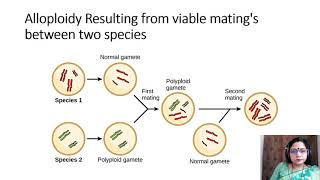 Polyploidy in Plant Breeding [upl. by Teresa]