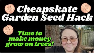 Where Cheapskates Get Seeds garden seedhaul seeds gardening plants shtf [upl. by Hazlett75]