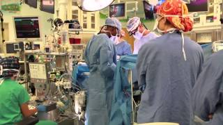 What does a pediatric perfusionist do How do I become a perfusionist [upl. by Ardnuahsal209]