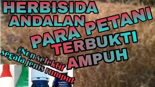 HERBISIDA OBAT RACUN PEMBASMI RUMPUT PALING AMPUH [upl. by Tades]