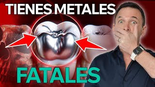 9️⃣ enfermedades causadas por METALES PESADOS 🧪  CONSECUENCIAS de tener DISRUPTORES ENDOCRINOS 🚨 [upl. by Winikka521]