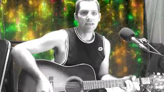 Hold On  Wilson Phillips Acoustic Cover by Drufi [upl. by Hertzog]