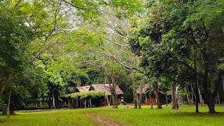 Ciudad de Hohenau en Paraguay [upl. by Yuma416]