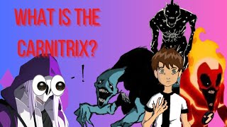 What Is The Carnitrix [upl. by Gintz242]