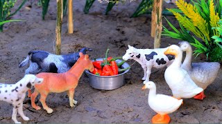 cow video funny animal video dog matikata cartoon horse cow cow cattle  Oct 11 20241100 PM [upl. by Eob]