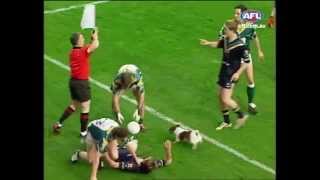 Dog invades International Rules match  AFL [upl. by Corin]