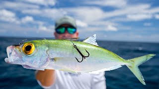 Most EXPENSIVE Deep Sea BaitCatch Clean Cook Mahi Mahi [upl. by Patricio]