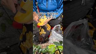 추석명절에 망고 선물  Mango gifts for Chuseok [upl. by Acceb]