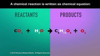 Chemical Reactions [upl. by Lowis]