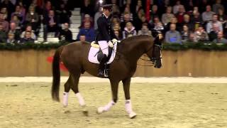 Quaterback by Quaterman Stallion Show Sosath 2013 [upl. by Pooi]