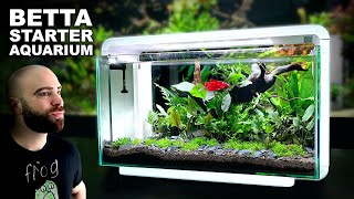 The Budget BETTA Setup You Cannot Miss [upl. by Lewls]