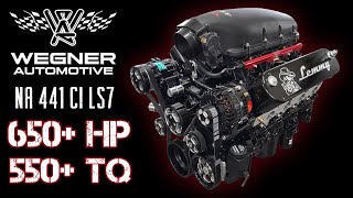 Wegner Automotive Built NA 441 CI LS7 Puts Down 650HP Dyno Run [upl. by Hgielrebma]