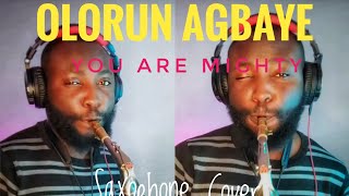 Olorun Agbaye  You are Mighty Nathaniel Bassey  Saxophone Cover  Emmanuel Darrey [upl. by Gilson]