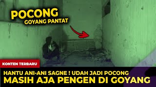 🔴 1596 POCONG S46N3  GOYANG P4NT47 [upl. by Ydna]