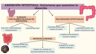 Conjunctions Prepositions and Interjections Language Review Game Presentation in Pastel Simple Sty [upl. by Modnar972]