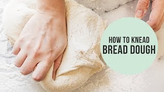 How to Knead Dough without a stand mixer [upl. by Ailina928]