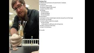 Oxidase Test [upl. by Mcquade]