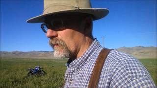 Sainfoin  an Alternative to GMO Alfalfa at Alderspring [upl. by Stoops82]