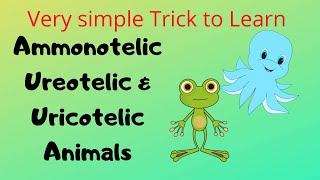 Trick to remember Ammonotelic Ureotelic and Uricotelic Animals  Excretion [upl. by Ardnauq]