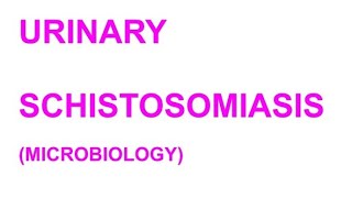 URINARY SCHISTOSOMIASIS MICROBIOLOGY [upl. by Kinemod]