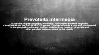 Medical vocabulary What does Prevotella intermedia mean [upl. by Pope877]