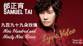 九百九拾九朵玫瑰 999 Roses  邰正宵 Samuel Tai  Chinese  Pinyin  English Lyrics 歌詞 [upl. by Alfred]