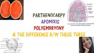 Parthenocarpy Apomixis Polyembryony and difference between these threeReproductionBansalbiology [upl. by Adriel272]