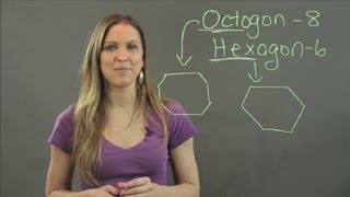 How Is an Octagon Different From a Hexagon  Math Tutorials [upl. by Tini]