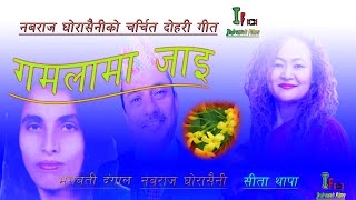 गमलामा जाइ ।। नमराज घोरसैनी  सिता थापा  भगवती दंगाल ।। Namaraj ghorsaini  Sita thapa [upl. by Ymrots]