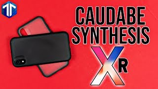 iPhone XR Caudabe Synthesis Case Review [upl. by Enoch335]