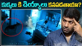 Dogs Can See A Ghosts   Top 10 Interesting Facts In Telugu  QampA  V R Facts In Telugu [upl. by Bing]