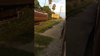 railway station platform Barhrailway viral trending reelsvideo shortvideo youtubeshorts [upl. by Naibaf822]