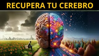 EL PODER de la NEUROPLASTICIDAD  Mejora tu memoria y descubre tu potencial [upl. by Thordis]