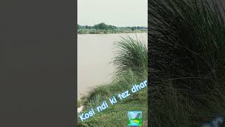 Kosi ndi ki tez dhar bihar ke chakia me [upl. by Savdeep]