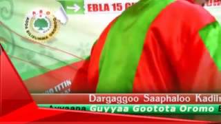 JECHOOTA GOOTOWWAN OROMOO  Saphaloo Kadiir irraa Guyyaa Gootota Oromoo Ebla 2016 [upl. by Purity]