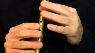 Paddy Clancys Jig  Tin Whistle Lesson [upl. by Furie399]