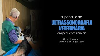 Super Aula Ultrassonografia Veterinária em Pequenos Animais com Professor Antônio Lacreta [upl. by Enohsal]