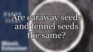 Are caraway seeds and fennel seeds the same [upl. by Trenna]