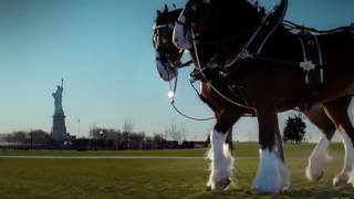 Budweiser Clydesdales 911 Tribute Ad Super Bowl 2011 [upl. by Chic]