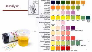 Urinary Tract Infections Objective 3 [upl. by Ssilem]