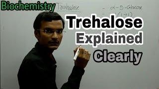 Trehalose Disaccharide  Biochemistry lecture [upl. by Toffic960]