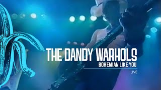 The Dandy Warhols  Bohemian Like You Live on Rove 2001 [upl. by Amersham311]