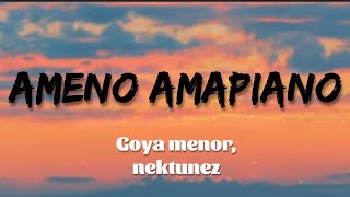 Goya menor amp Nektunez  Ameno amapiano remix Lyrics  traduction Française [upl. by Monah]