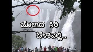 JOG JAGAMAGA  60000 cusec water release from Linganamakki dam [upl. by Minne]