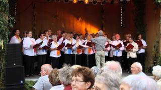 Volkschor Waldheim beim Burg und Altstadtfest Leisnig 2014 mit quotFreunde die ihr seid gekommenquot [upl. by Latreece]