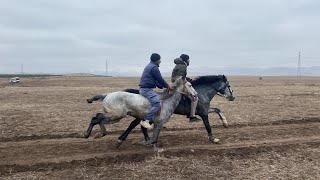 At yarışında büyük heyecan [upl. by Jew850]