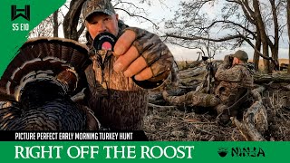 Right Off the Roost  Picture Perfect Early Morning Turkey Hunt hunting turkeyhunting [upl. by Huxham]