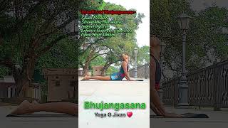 Benefits of Bhujangasana  Yoga O Jivan ❤️ shorts yoga bhujangasana music [upl. by Martinsen]